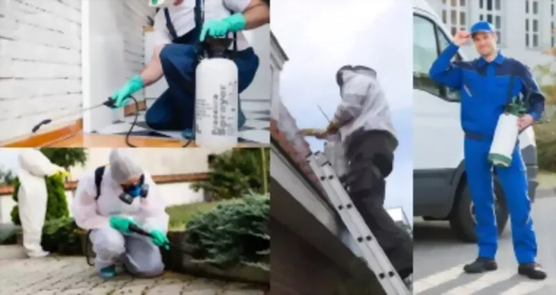 Service d'extermination des nuisibles